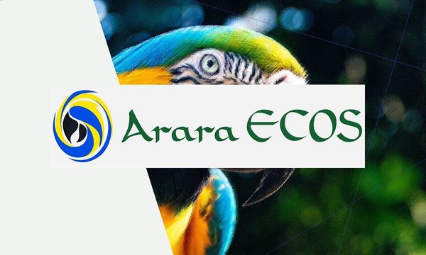 Mapeamento Colaborativo